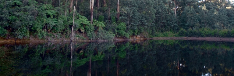 Imagine waking up to this...